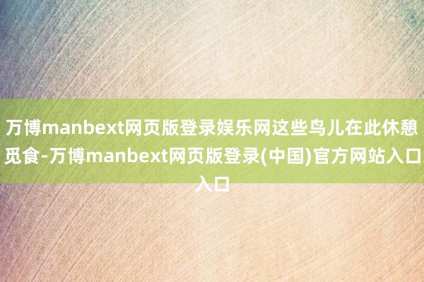 万博manbext网页版登录娱乐网这些鸟儿在此休憩觅食-万博manbext网页版登录(中国)官方网站入口