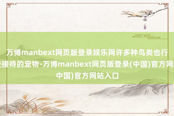 万博manbext网页版登录娱乐网许多种鸟类也行动广受接待的宠物-万博manbext网页版登录(中国)官方网站入口