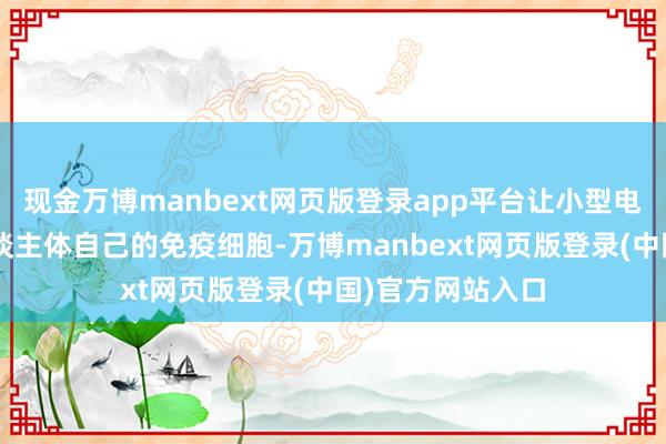 现金万博manbext网页版登录app平台让小型电极“搭乘”着东谈主体自己的免疫细胞-万博manbext网页版登录(中国)官方网站入口